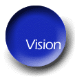 Vision